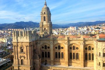 Private Half-Day Tour in Historical Malaga from Marbella