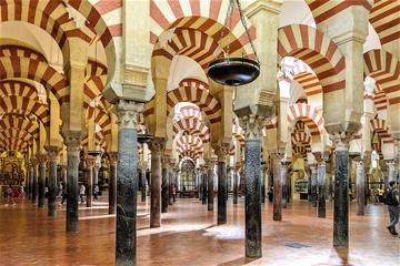 Private or Group walking tour in Cordoba