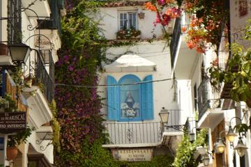 Private walking tour in Marbella
