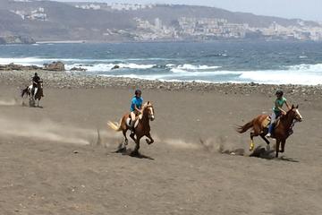 Private Half-Day Beach Horse Riding Tour in Gran Canaria