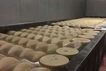 Day Tour from Padova: Veneto Villas, Medieval Towns and Grana Padano Production