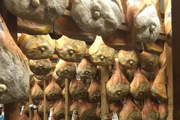 Euganean Hills and Ham Production Farm Private Day Tour from Padua