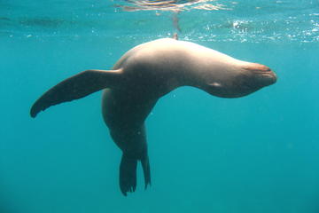 5-Day Galapagos Islands Highlights Tour