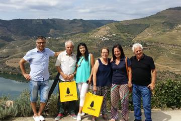 Small Group Douro Valley and Wine Full Day Tour with Lunch and Tastings