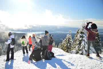 Dog Mountain Snowshoeing and Photography Tour