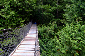 Lynn Canyon Trail and Photography Tour
