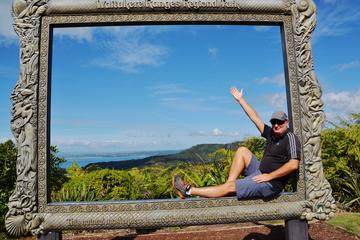 Piha Beach and Rainforest Day Tour