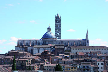 Siena Cathedral: Private Tour