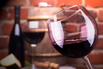 Malbec Wine Full-Day Tour to Mendoza