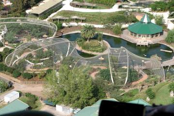Temaiken Biopark, Tigre Delta and 'Cafe de los Angelitos' Tango Show and Dinner