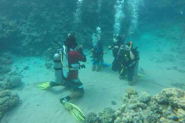 PADI Course: Padi Open Water Diver Course