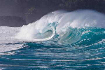The North Shore Tour
