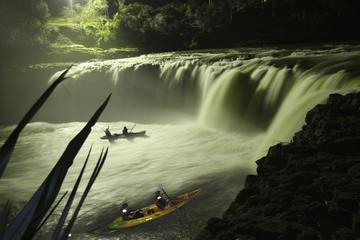Bay Of Islands Nature Cruise And Kayaking Adventure