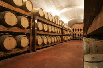 Cagliari: 5-Hour Experience Tasting Shore Excursion