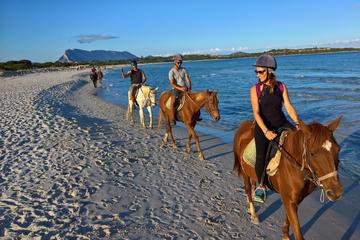 Cagliari: 5-Hour Shore Excursion Horseback Riding Tour