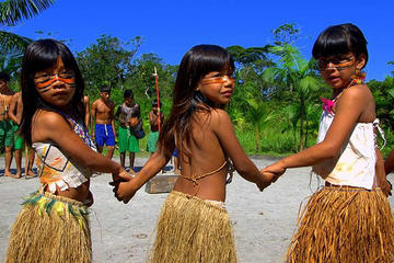 Santos: Full Day Shore Excursion Rain Forest and Indian Reservation Tour