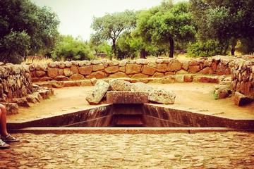 Well Temple and Cabras Museum