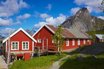 Summer Full-Day Guided Tour of the Lofoten Islands