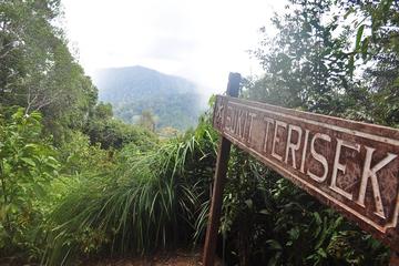 3-Day Taman Negara and Cameron Highlands Getaway from Kuala Lumpur