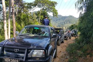 Full-Day Kuala Lumpur 4WD Rainforest Tour