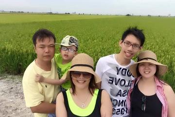 Rice Fields and Fireflies Tour Including Lunch and Dinner from Kuala Lumpur