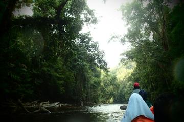 Taman Negara Rainforest Day Tour