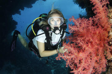 5-Day Dive Pack for Certified Divers in Marsa Alam