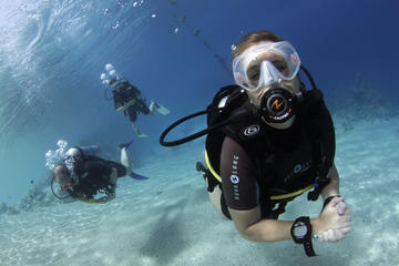 Day of Scuba Diving by Boat for Certified Divers