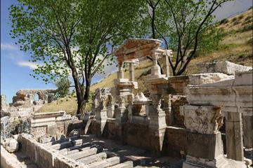 Ephesus Private 3-Hour Shore Excursion from Kusadasi