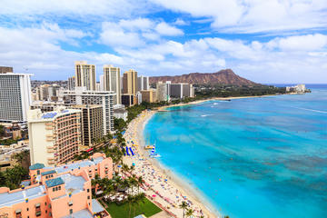 Waikiki Trolley Unlimited Pass with 14 Attractions