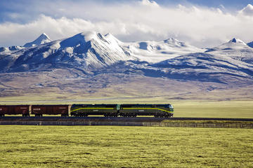 Small-Group 5-Night Lhasa Tour by Train from Shanghai