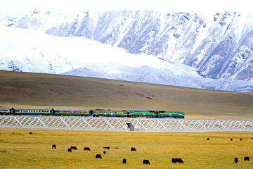 Small-Group 6-Night Lhasa to Everest Tour: Train from Xining