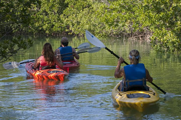 Key West Half Day Kayak Rental