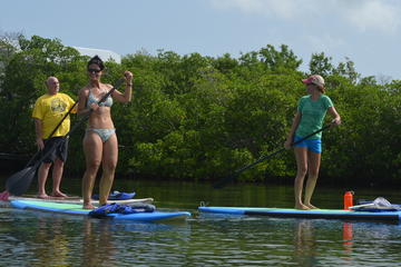 Key West Stand Up Paddleboard Rental with Optional Lesson