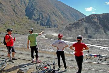 Mountain Bike Bull Circuit