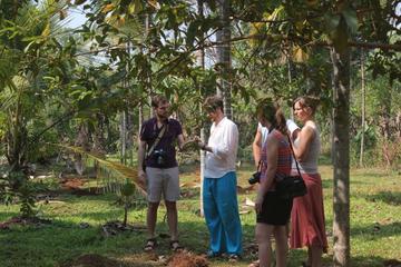 Spice Tour and Home-Cooked Goan Lunch at an Organic Plantation