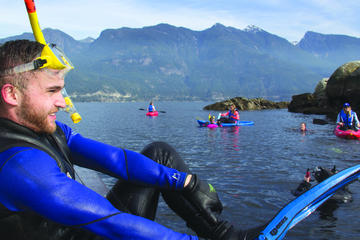 Vancouver Snorkel and Kayak Adventure: Snorkel with Seals
