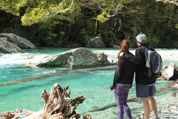 Full-Day Small-Group Routeburn Valley Walk with Lunch