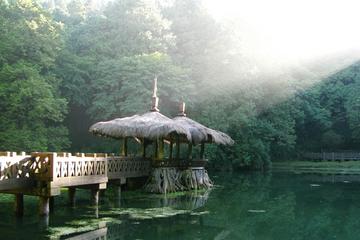3 Days Sun Moon Lake and Alishan National Scenic Area Tour