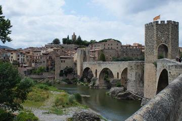 Medieval Catalonia Private Guided Tour from Girona