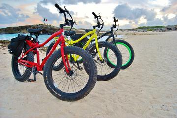 Half-Day Electric Bike Tour of Cozumel's East Side With Lunch
