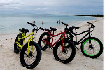 Punta Sur Eco Beach Park Electric Bike Tour in Cozumel
