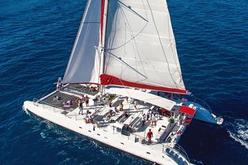Caldera Deep Blue Cruise (Vintage)