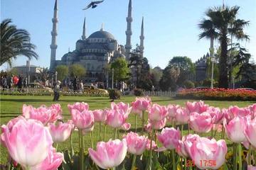 3-Hour Istanbul Express Walking Tour