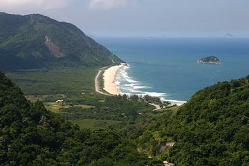 Private Tour: Rio Nature, Parque Lage and Beaches