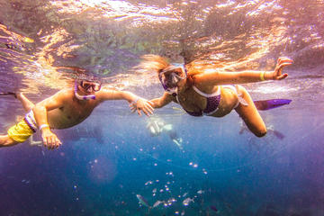 Full-Day Catalina Island Snorkeling Tour from Punta Cana