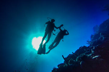 Full-Day Scuba Diving Catalina Island Tour from Bavaro