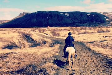 Private Horse Riding Tour of Lake Hafravatn from Reykjavik