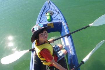 Batemans Bay Full-Day Tour from Canberra Including Kayaking