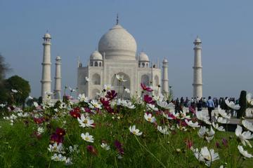 Delhi Agra and Taj Mahal Private Day Trip by Express Train with Lunch